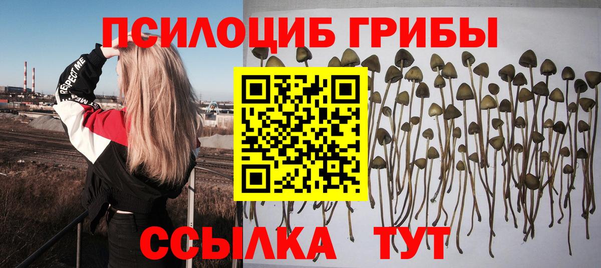 Рассказово  закладка  Вход с VPN  Галлюциногенные грибы мухоморы 