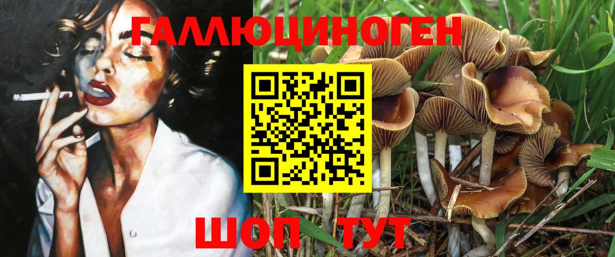Галлюциногенные грибы Psilocybe Рассказово